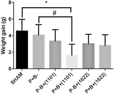 Bifidobacterium Strains Present Distinct Effects on the Control of Alveolar Bone Loss in a Periodontitis Experimental Model